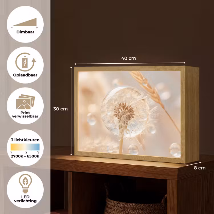 Lightbox - Wandlamp - Paardenbloem - Water - Natuur - Stilleven - Modern — 10