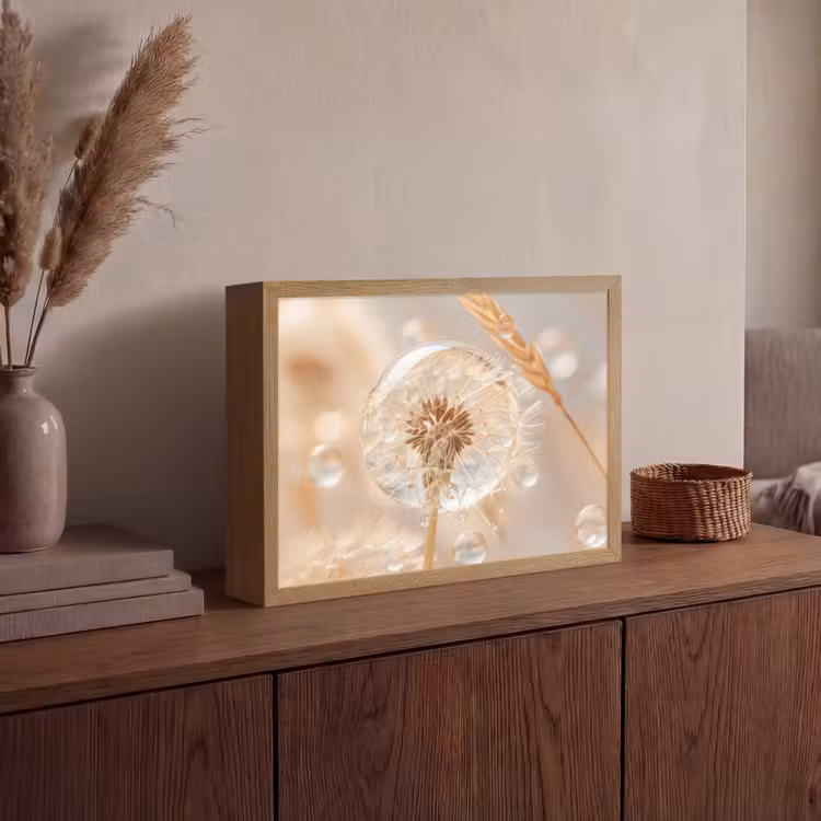 Lightbox - Wandlamp - Paardenbloem - Water - Natuur - Stilleven - Modern — 4