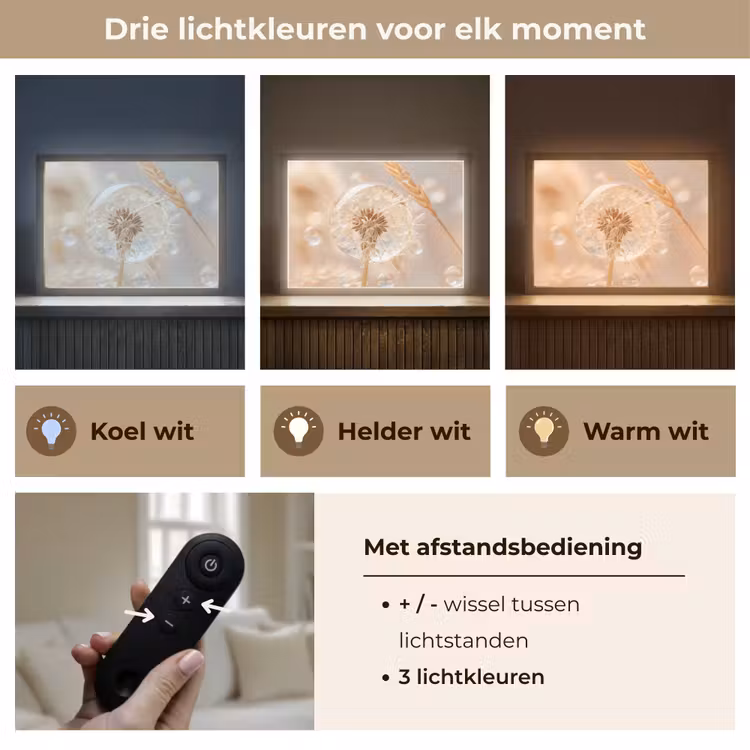 Lightbox - Wandlamp - Paardenbloem - Water - Natuur - Stilleven - Modern — 8