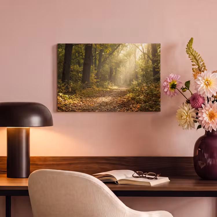 Canvas schilderij - Zonlicht - Bospad - Bomen — 4