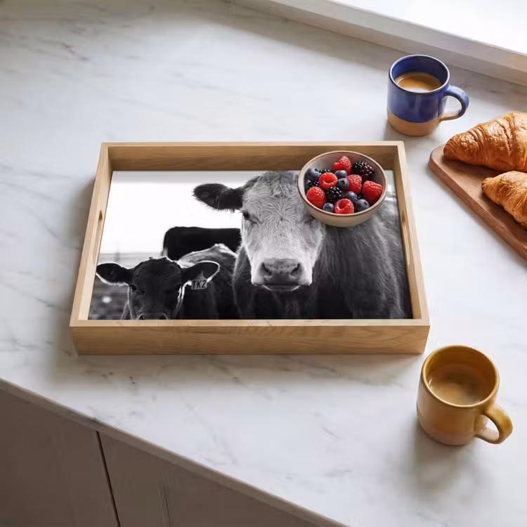 Dienblad - Koeien - Zwart - Wit — 4