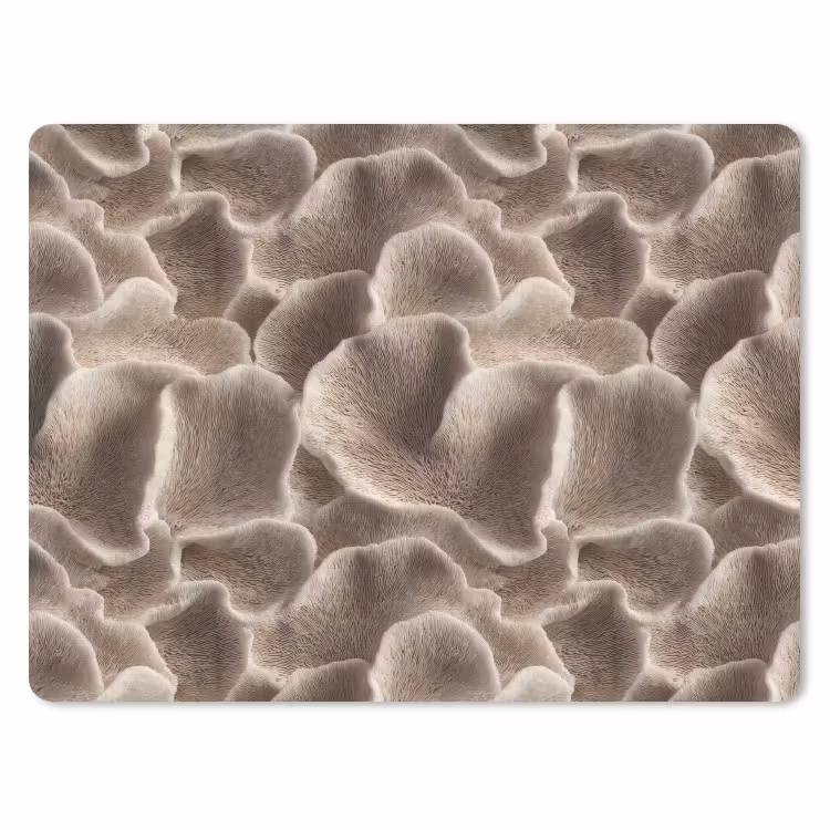 Muismat - Waaiervorm - Beige - Vezel textuur — 1