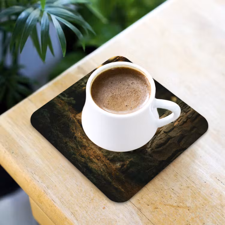 Onderzetter​ - Vos - Bos - Slapen — 2