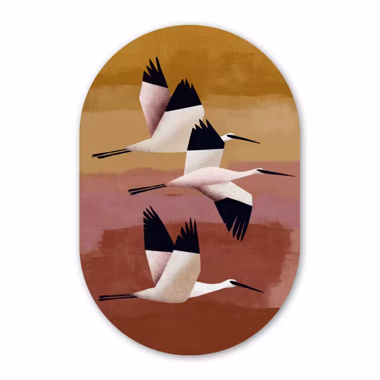 Muurovaal - Kunststof - Vogels - Snavel - Abstract — 3