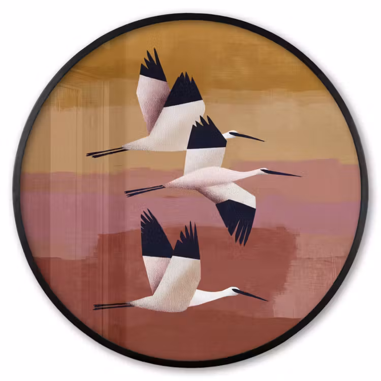 Ronde fotolijst - Vogels - Snavel - Abstract — 1