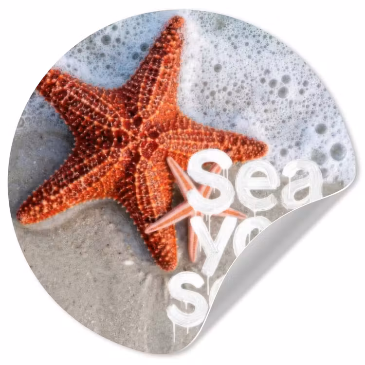 Behangcirkel - Sea you soon - Zeester - Zee — 1