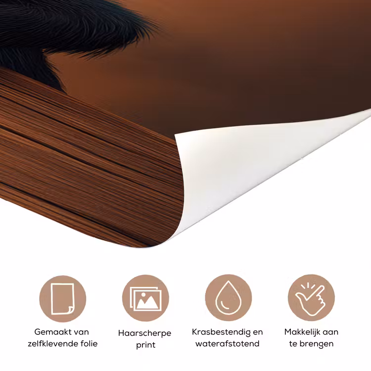 Deursticker - Aap - Dieren - Animatie - Deur — 3