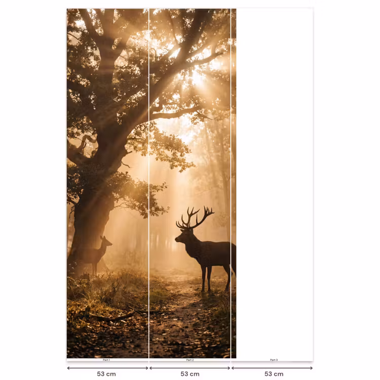 Behang - Hert - Bos - Mistig - Natuur - Goud — 6