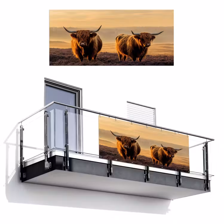 Balkonscherm - Schotse hooglanders - Heide - Landschap - Dieren — 1