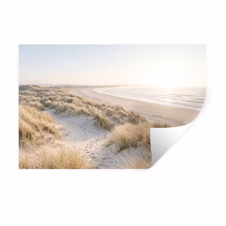 Muursticker - Duinen - Strand - Beige — 1