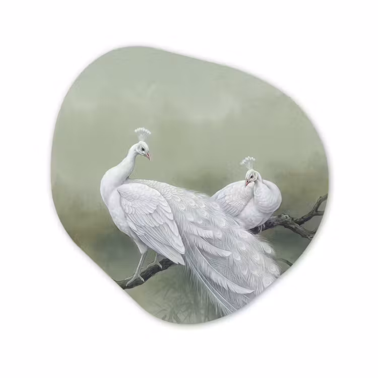 Organisch schilderij - Forex - Pauwen - Wit - Natuur - Groen — 1