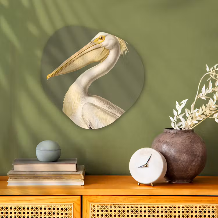 Organisch schilderij - Forex - Pelikaan - Wit - Vogel - Klassiek - Natuur — 2