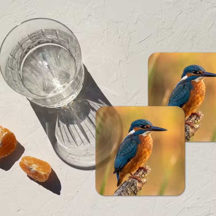 Onderzetter​ - IJsvogel - Tak - Water - Kleurrijk - Levendig — 3