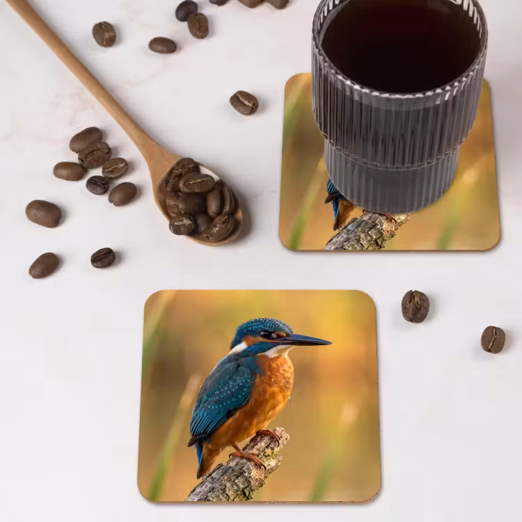 Onderzetter​ - IJsvogel - Tak - Water - Kleurrijk - Levendig — 4