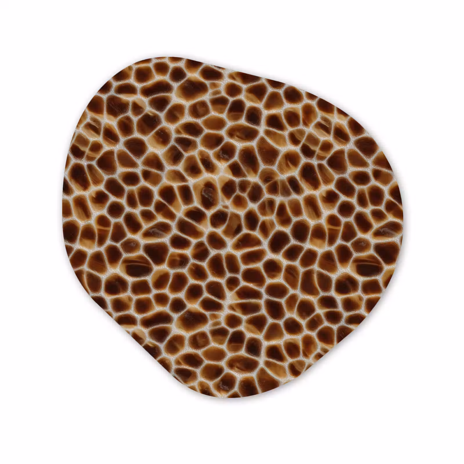 Organisch schilderij - Forex - Schildpad - Bruin - Patroon — 1