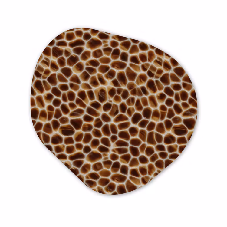 Organisch schilderij - Forex - Schildpad - Bruin - Patroon — 1