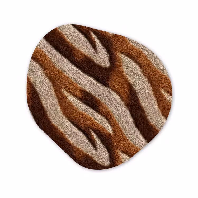 Organisch schilderij - Forex - Zebra - Bruin - Patroon — 1