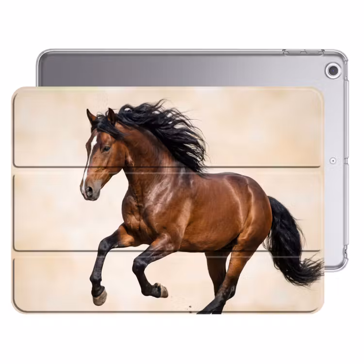 iPad hoes - Paard - Galop - Energie — 1