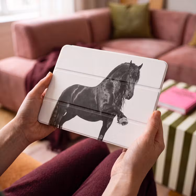 iPad hoes - Fries - Hengst - Modern — 3