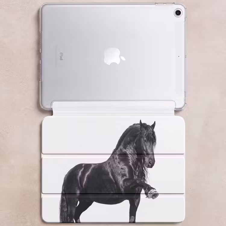 iPad hoes - Fries - Hengst - Modern — 6