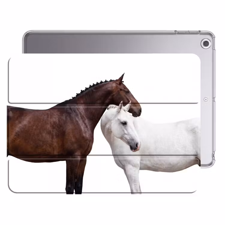 iPad hoes - Paard - Modern - Balans — 1