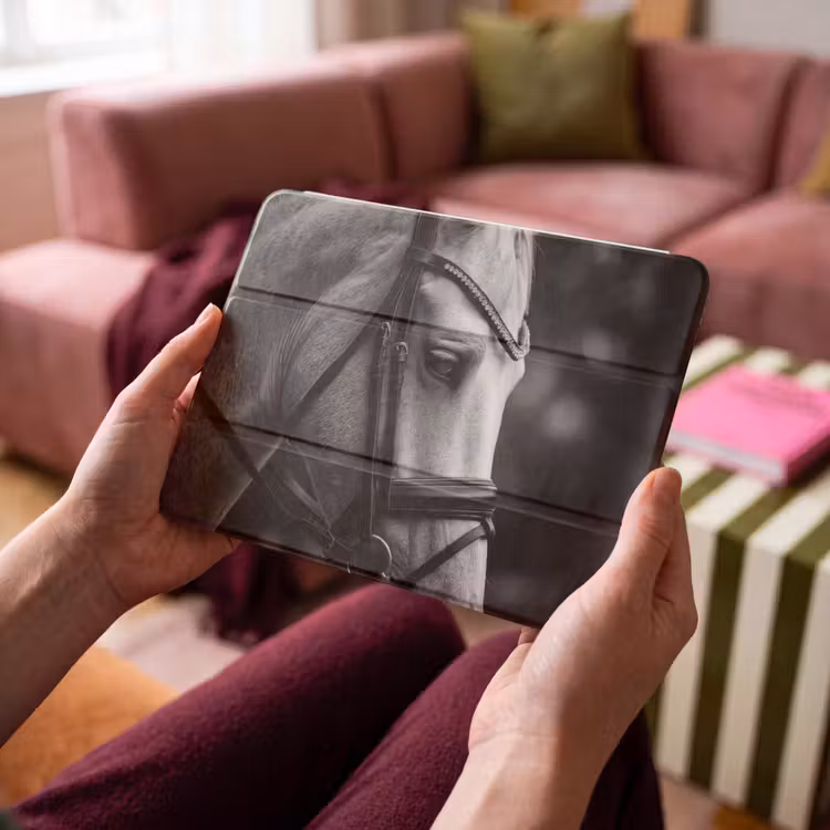 iPad hoes - Paard - Schimmel - Portret — 3