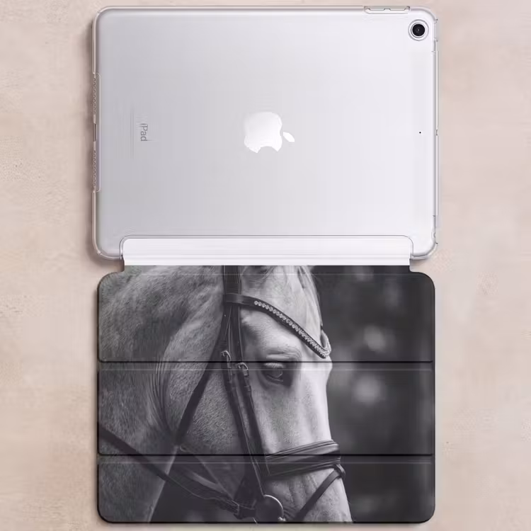 iPad hoes - Paard - Schimmel - Portret — 6