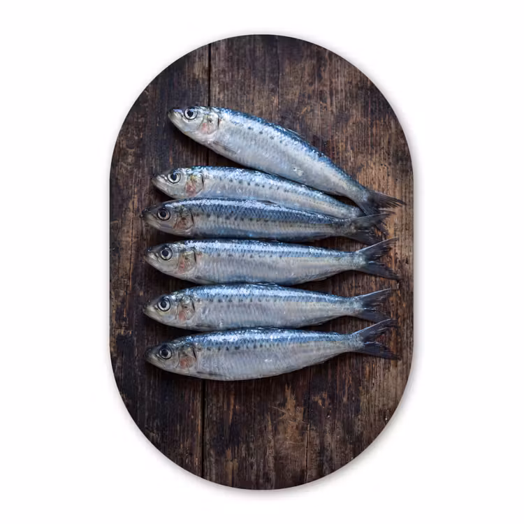 Muurovaal - Kunststof - Vis - Hout - Eten — 3