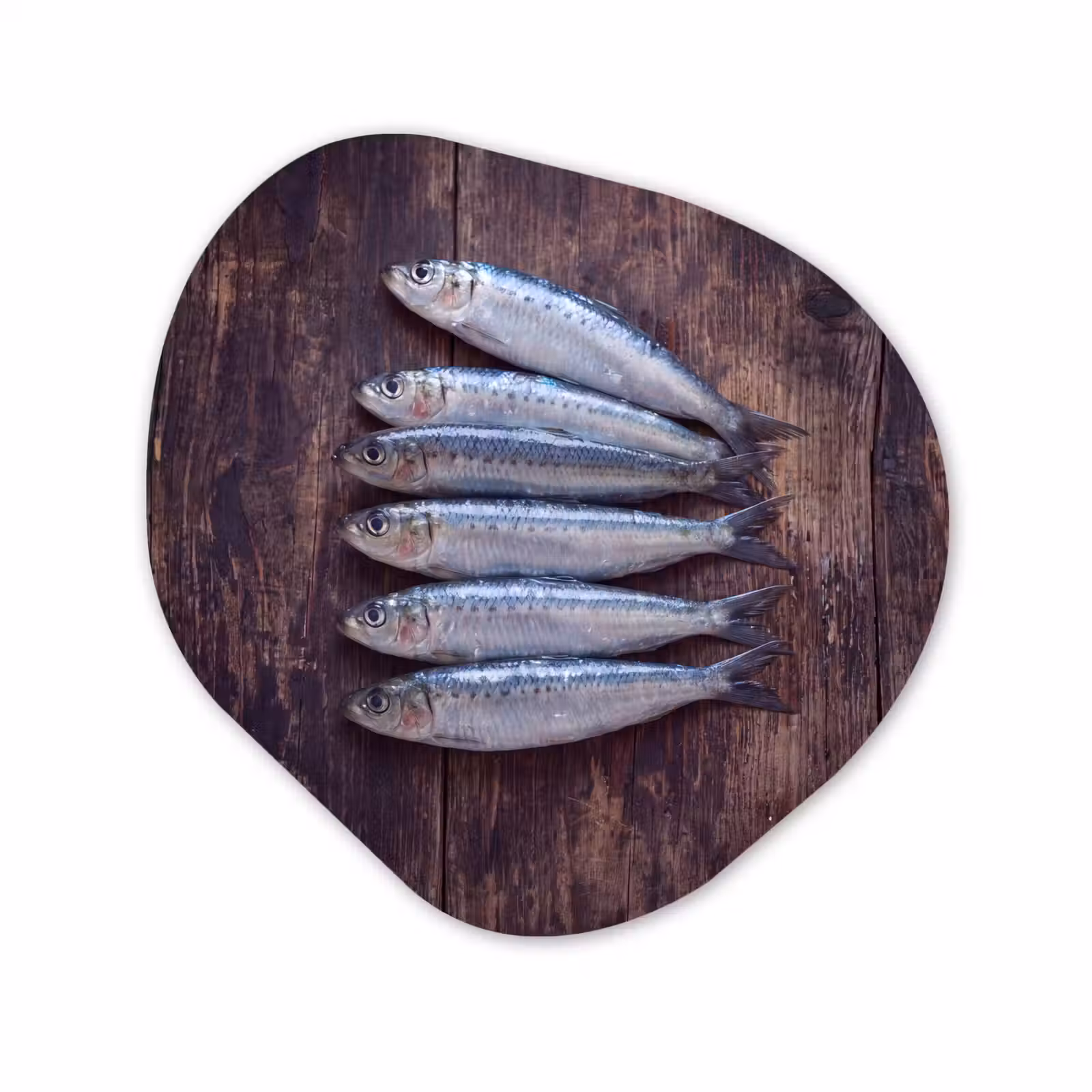 Organisch schilderij - Glas - Vis - Hout - Eten — 1