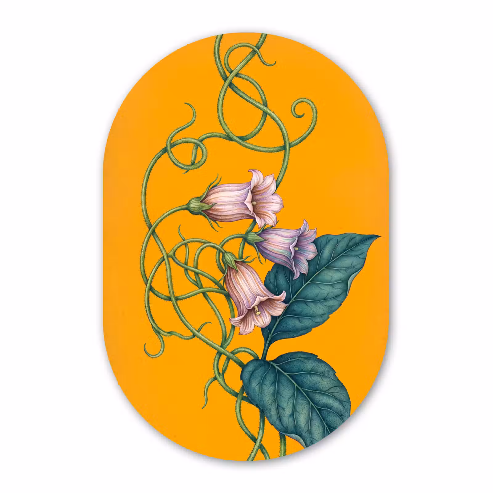 Muurovaal - Glas - Bloemen - Botanisch - Geel — 1