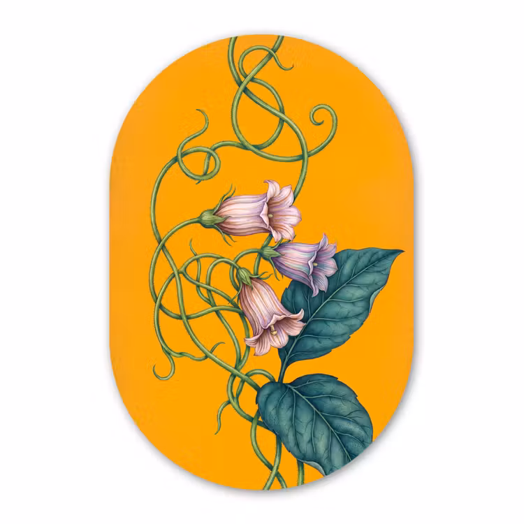 Muurovaal - Glas - Bloemen - Botanisch - Geel — 1