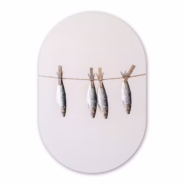 Muurovaal - Glas - Vis - Hangend - Eten — 1