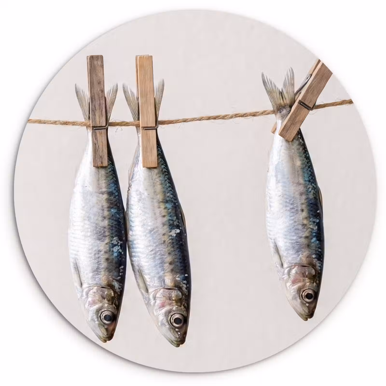 Wandcirkel - Glas - Vis - Hangend - Eten — 1