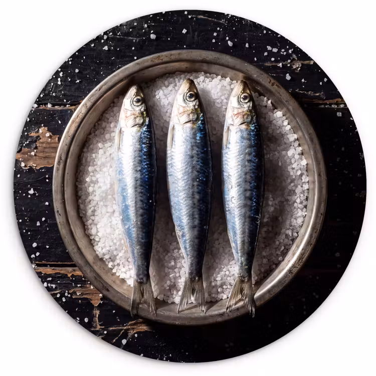Wandcirkel - Glas - Vis - Zout - Eten — 1