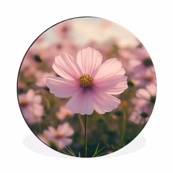 Wandcirkel - Aluminium - Bloemen - Paars - Wazig