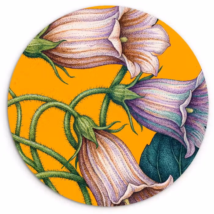 Wandcirkel - Glas - Bloemen - Botanisch - Geel