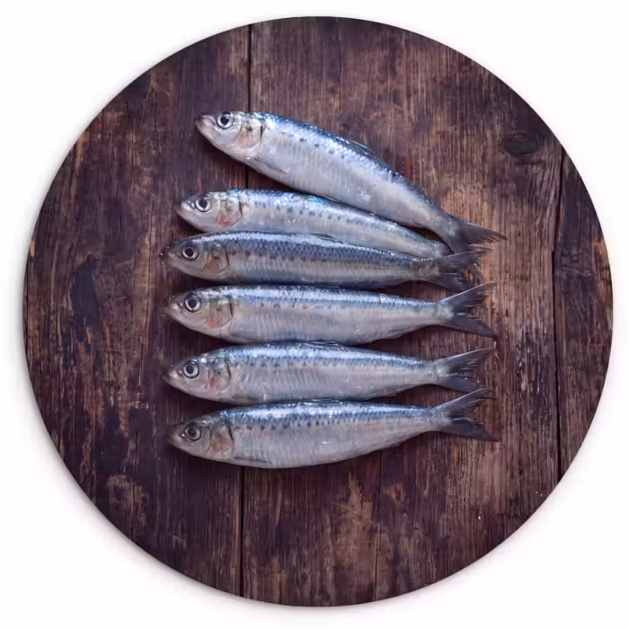Wandcirkel - Glas - Vis - Hout - Eten